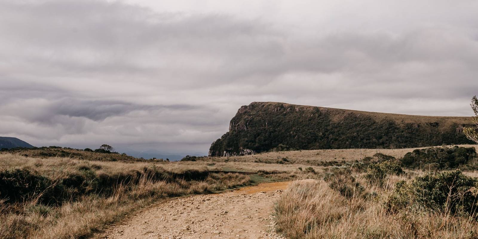 Estrada de terra entre campos dourados e a borda de um cânion em Cambará do Sul, no Rio Grande do Sul